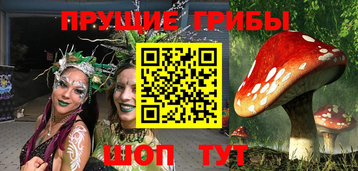 Псилоцибиновые грибы Psilocybe  Вход с VPN  Галлюциногенные грибы MAGIC MUSHROOMS  Киров 